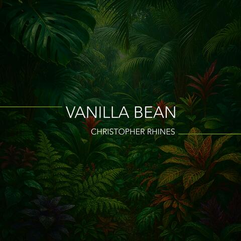 Vanilla Bean album art