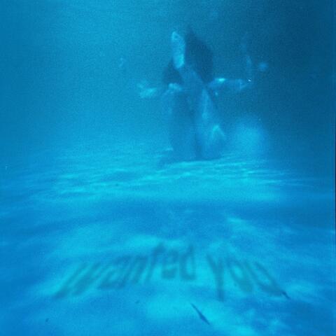 Wanted You album art