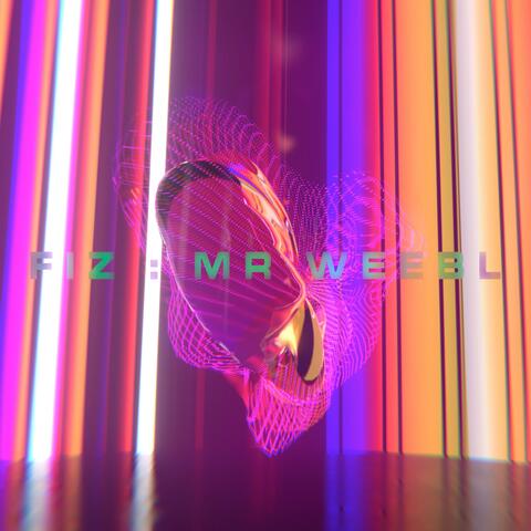 Fiz album art