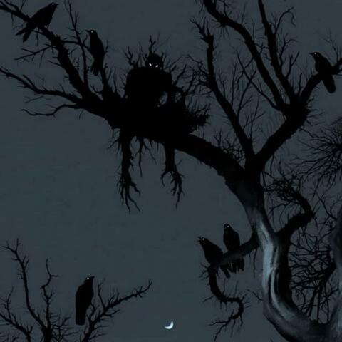 Hear the Crows Cry album art