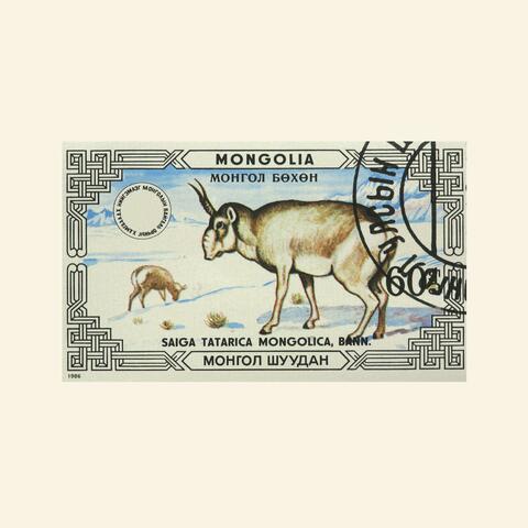 A syzygy of saigas (xp) album art