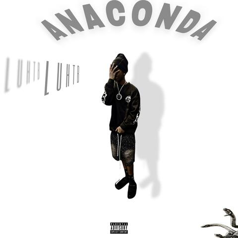 Anaconda album art