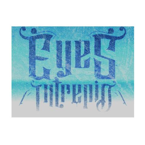 Echoes Of Insanity album art