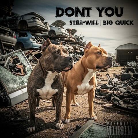 Don't You (feat. Big Quick) album art