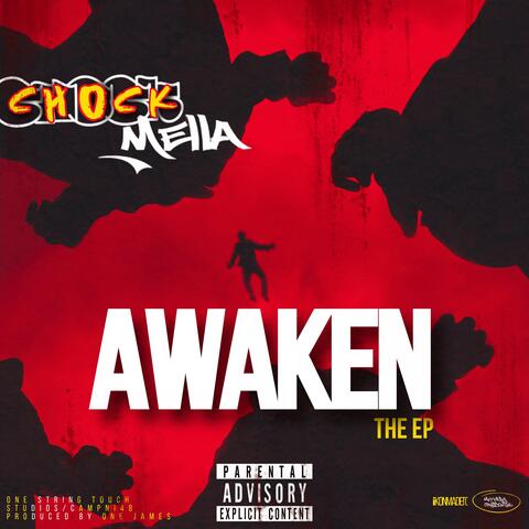 Awaken album art