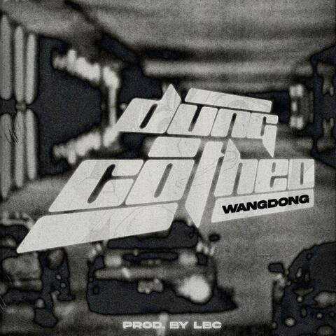 ĐỪNG CỐ THEO album art