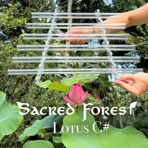 Crystal Harp 432 Hz Lotus C# (Crystal Serenity) album art