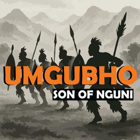 Umgubho album art