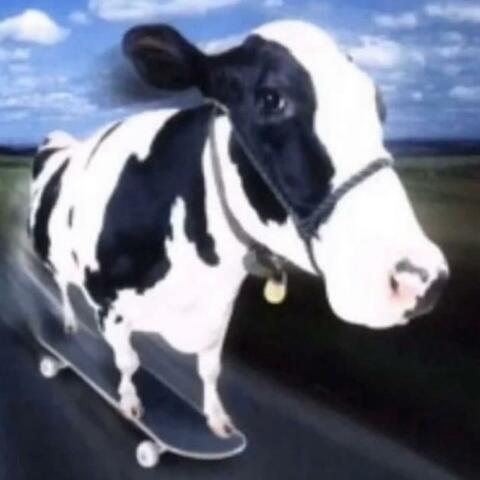 ÆDDU SPACET? album art