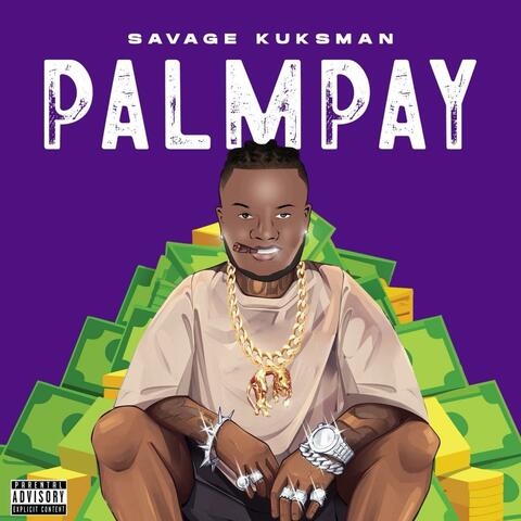 Palmpay album art