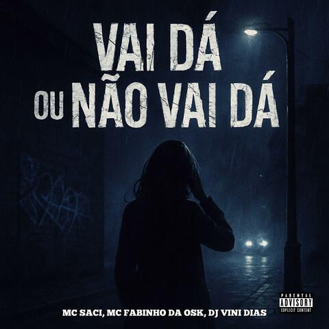 VAI DÁ OU NÃO VAI DÁ? album art