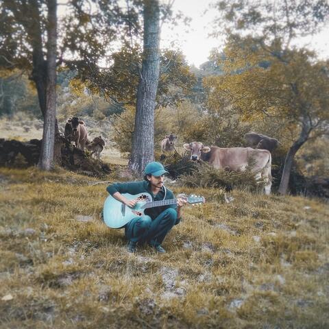 Folklore album art