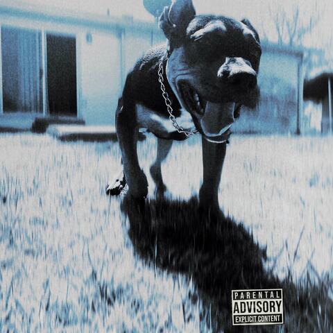 MAYBE TOMORROW... album art