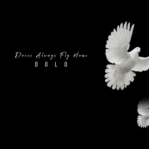 Doves Always Fly Home album art