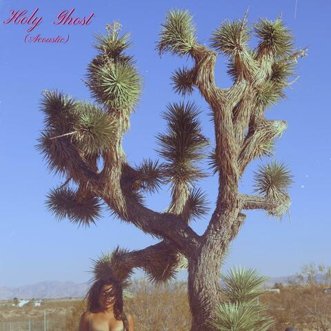 Holy Ghost (Acoustic) album art
