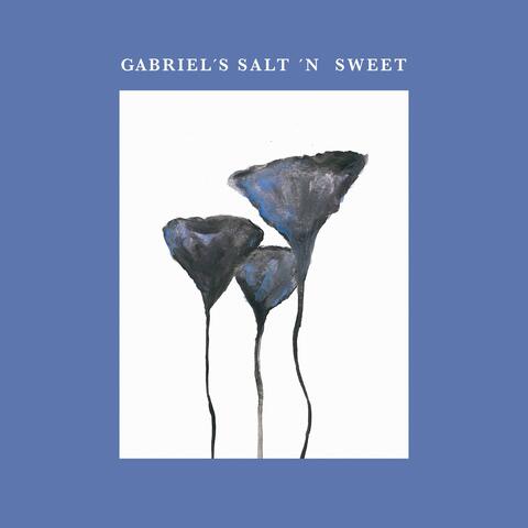 Gabriel's Salt 'n Sweet album art
