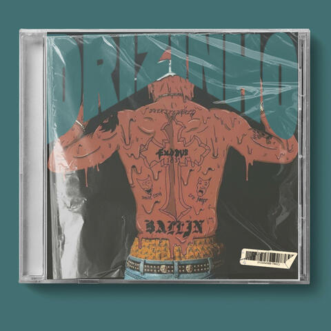 MEGA DRIZINHO album art