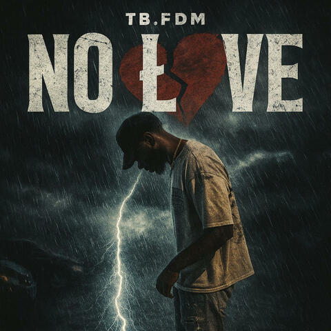 No love album art