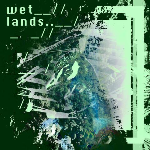 Wetlands album art
