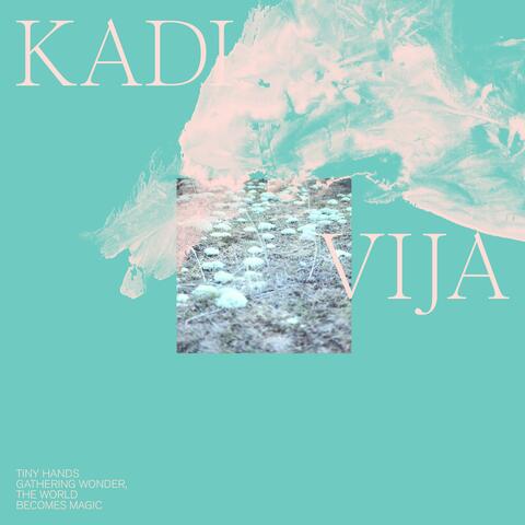 Tiny Hands Gathering Wonder, The World Becomes Magic album art