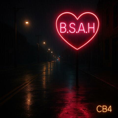 B.S.A.H album art
