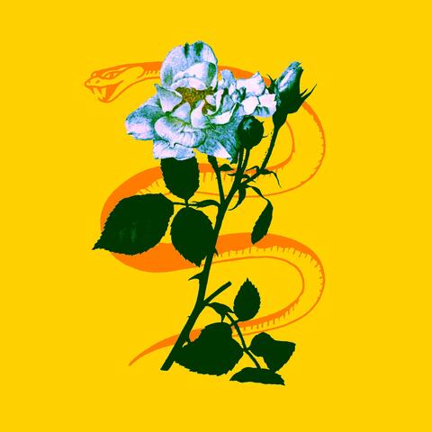 Black, Blue, and Gold album art