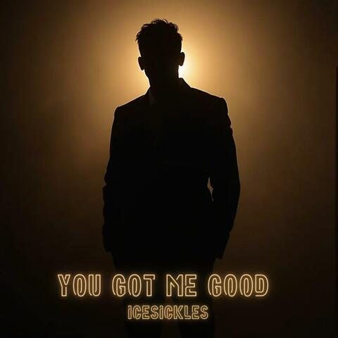 You Got Me Good album art