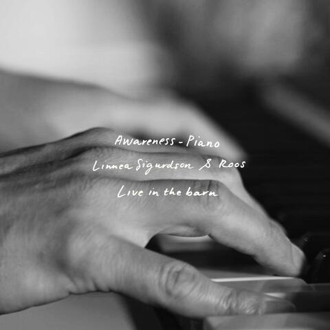 Awareness Piano (feat. Roos) [Live] album art