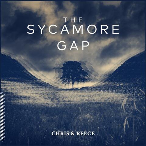 The Sycamore Gap album art