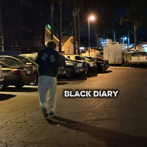 Black Diary album art