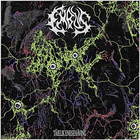 Täielik Enesehäving album art