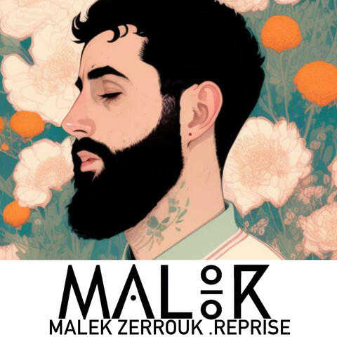 VAVA akli ait boussad album art