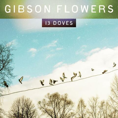 13 Doves album art