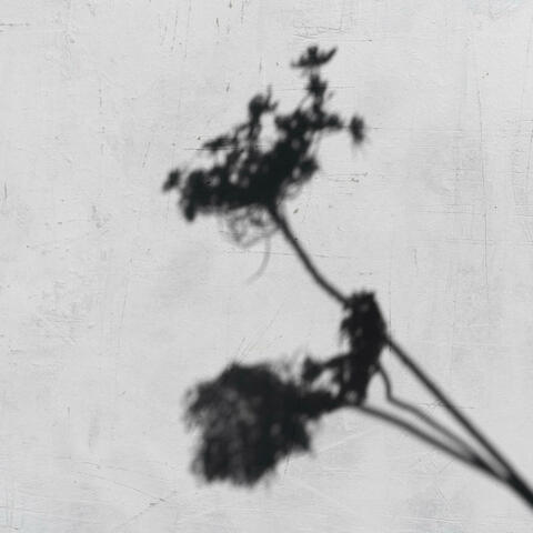 black & white album art