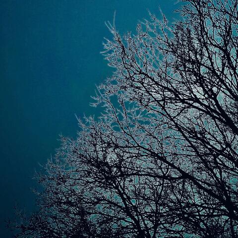 I'd Love You (Single version) album art