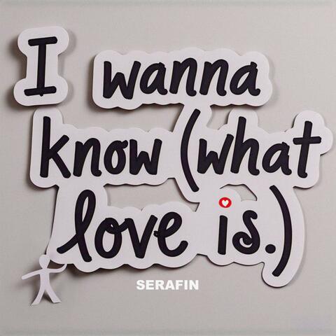 I WANNA KNOW (What Love Is) (Extended Mix) album art