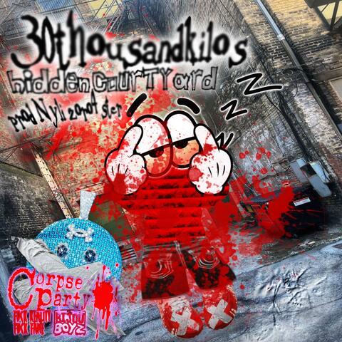 30ThousandKilos album art