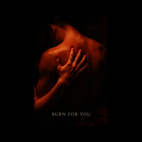 Burn for You album art