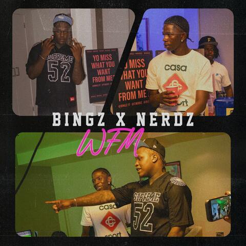 Want From Me album art