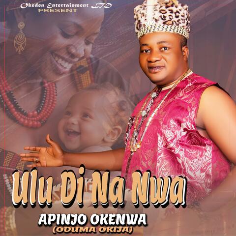 Ulu di na nwa album art