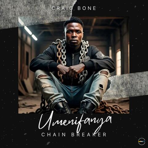 Umenifanya album art
