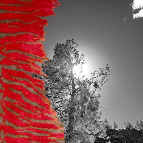 Reset/rave album art