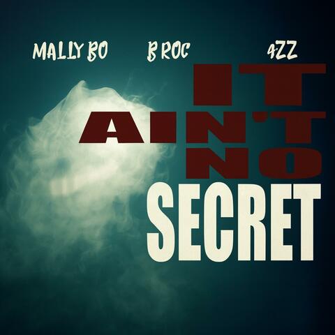 It Ain't No Secret (feat. B Roc & 4zz) album art