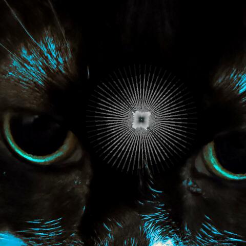 LightWave album art
