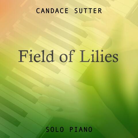 Field of Lilies album art