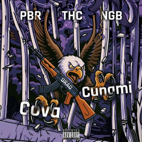 ORAO (feat. Cunami Flo) album art