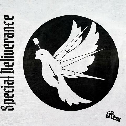 Special Deliverance album art