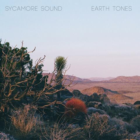 Earth Tones album art
