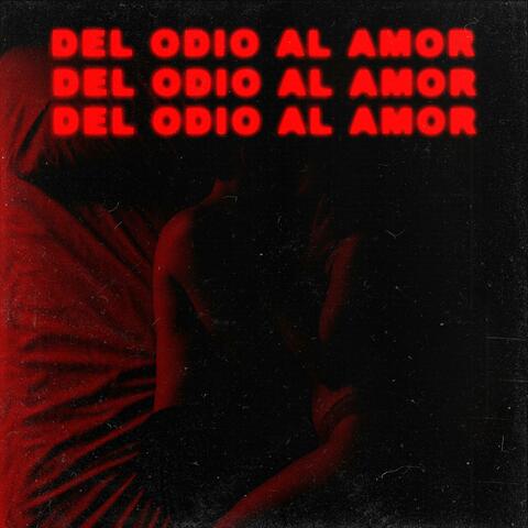 Del odio al amor album art