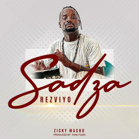 Sadza Rezviyo (feat. Zicky Wacho & Take Fizzo) album art